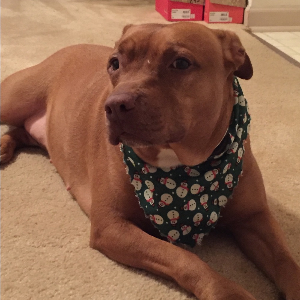 Meet your Posher, Jamie